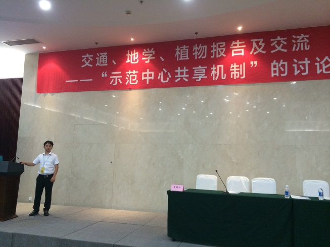 报告